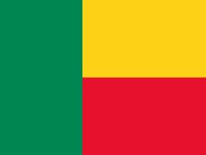 National flag of Benin