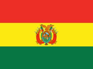 National flag of Bolivia