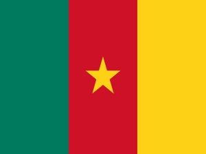 Bandiera nazionale Camerun