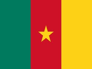 National flag of Cameroon