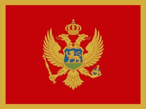 National flag Montenegro