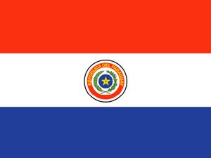 National flag of Paraguay