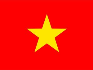 Bandiera nazionale Vietnam